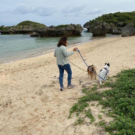Ken'S Beachfront Cafe & Lodge, Bl2, Oceanfront And Free Canoe Rental Onna Bagian luar foto