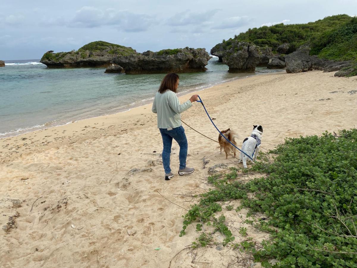 Ken'S Beachfront Cafe & Lodge, Bl2, Oceanfront And Free Canoe Rental Onna Bagian luar foto