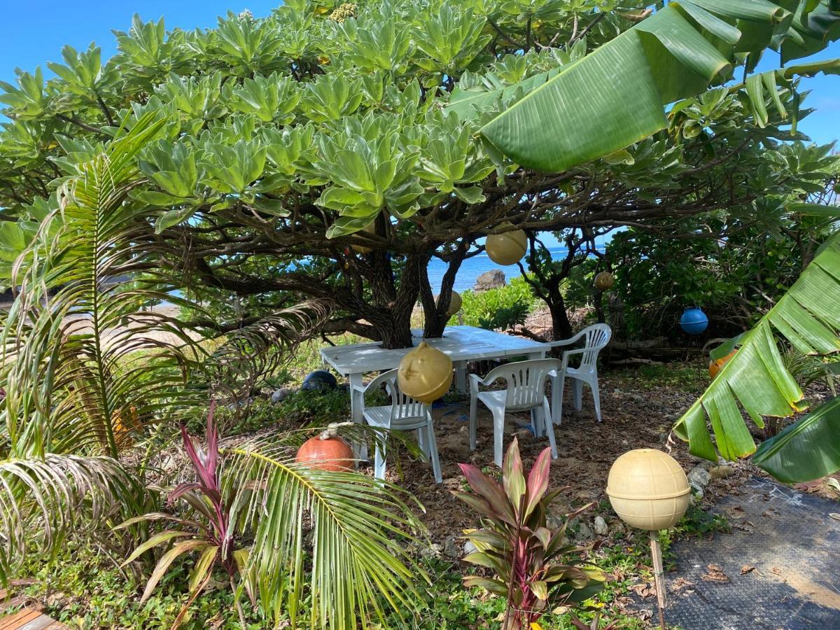 Ken'S Beachfront Cafe & Lodge, Bl2, Oceanfront And Free Canoe Rental Onna Bagian luar foto