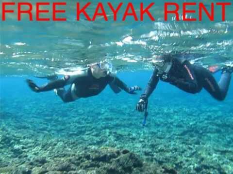 Ken'S Beachfront Cafe & Lodge, Bl2, Oceanfront And Free Canoe Rental Onna Bagian luar foto